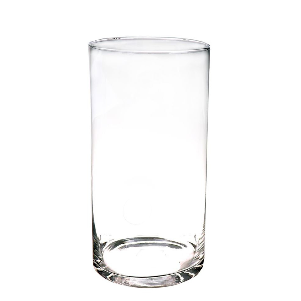 Huisje Trechter webspin Plasticiteit 1x Ronde glazen cilinder vaas/vazen transparant 30 cm hoog | Fun en Feest