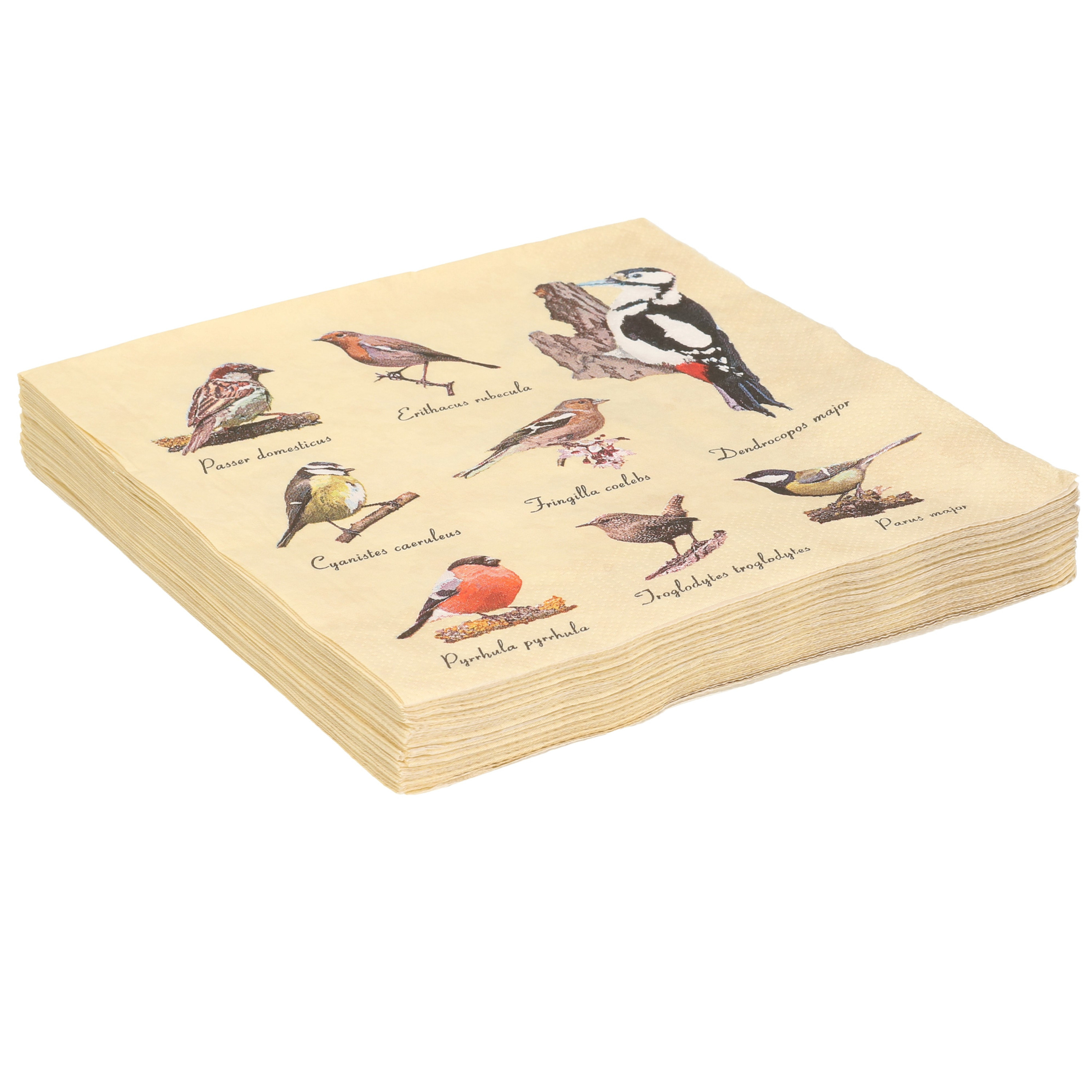 20x Papieren servetten met vogels print 33 x 33 cm -