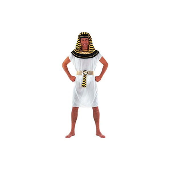 Nevelig lunch Observatie Egyptisch farao kostuum heren | Fun en Feest