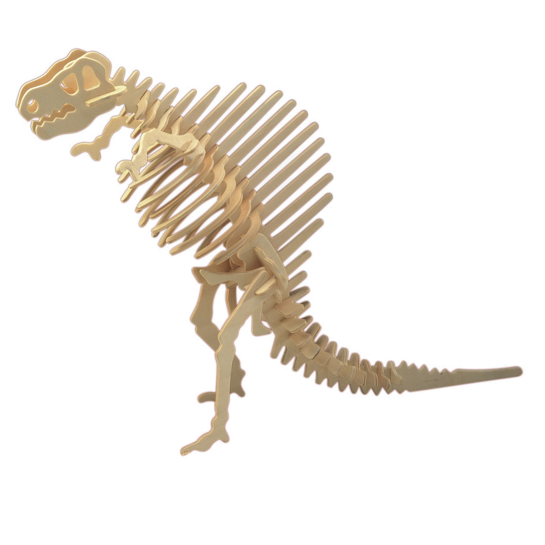 Houten 3D puzzel spinosaurus dinosaurus 23 cm -