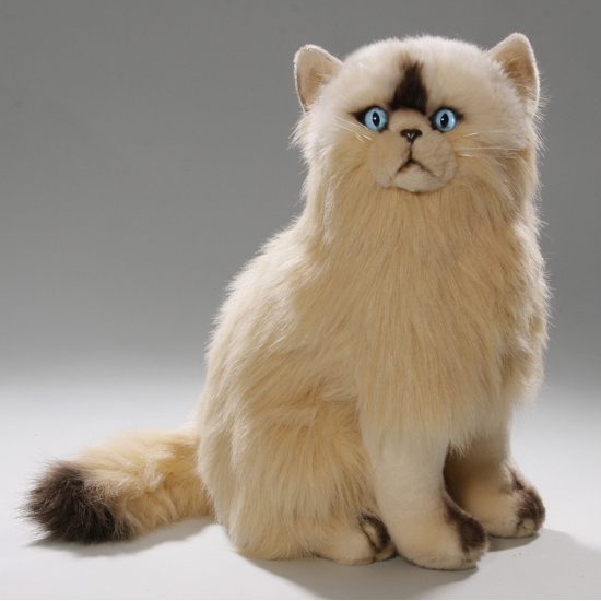 Knuffel kat persisch van 35 cm -