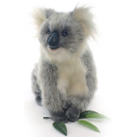 Koala knuffeldier 23 cm -