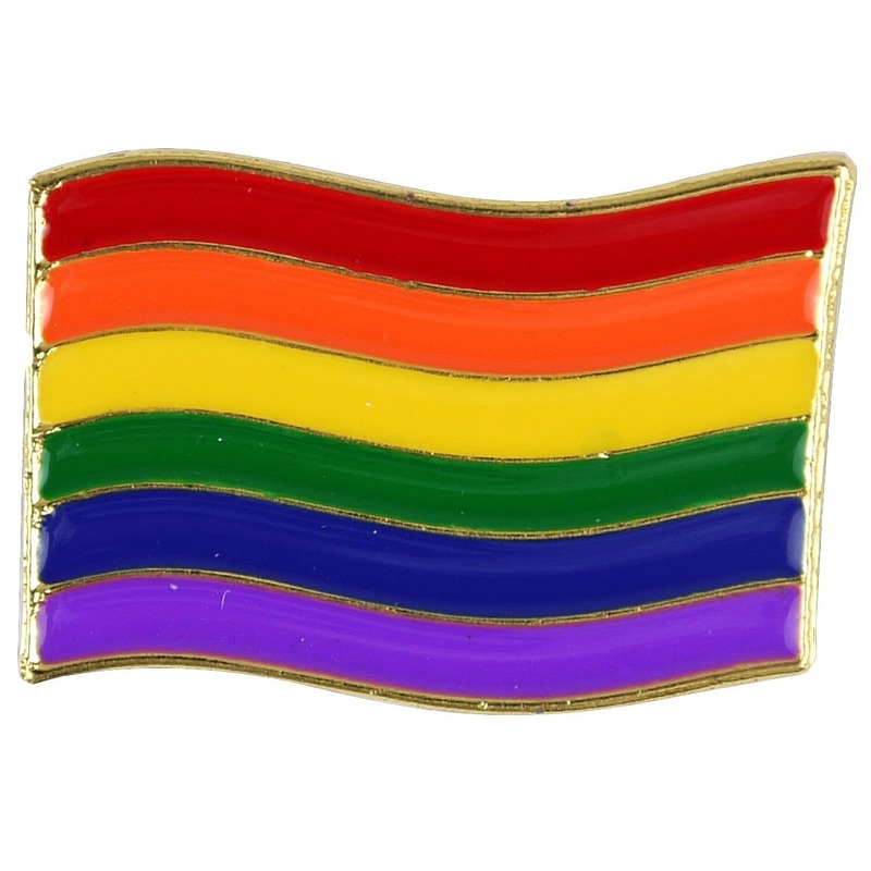 Regenboogvlag kleuren metalen broche 4 cm -