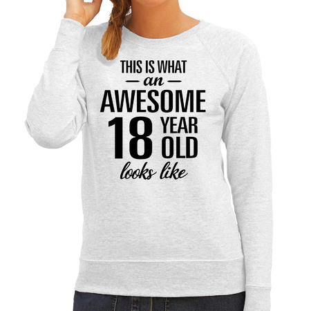 Awesome 18 year / 18 jaar cadeau sweater / trui grijs dames