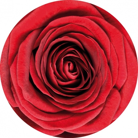 Onderzetters met rode roos bloemen 10 stuks