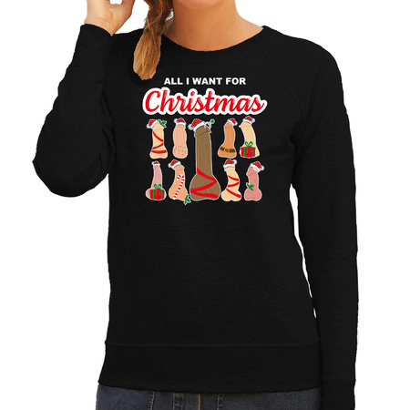 Bellatio Decorations foute kersttrui/sweater voor dames - All I want for Christmas - piemels - zwart