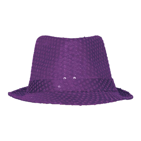 Carnaval verkleed set compleet - hoedje en zonnebril - paars - heren/dames - glimmend