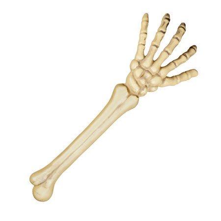 Horror kerkhof botten decoratie skelet arm 46 cm