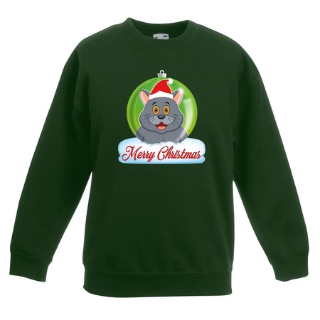 Christmas ball sweater grey cat green for kids