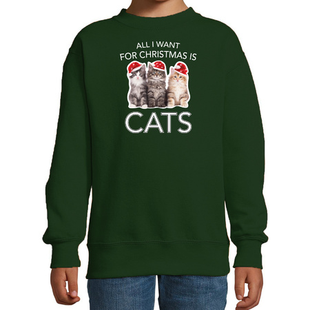 Groene Kersttrui / Kerstkleding All I want for christmas is cats voor kinderen
