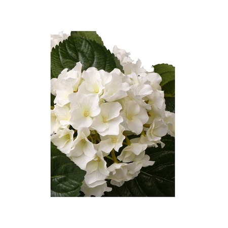 Hortensia kunstplant/kunstbloemen 36 cm - wit - in pot lichtroze glans