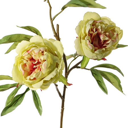 Artificial paeonia Spring Dream green/pink - 73 cm - decoration