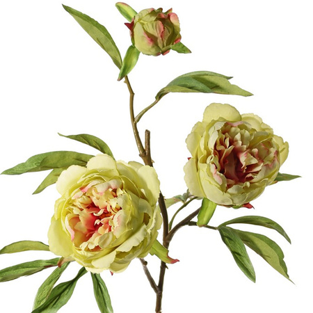 Topart Kunstbloem pioenroos Spring Dream - groen/roze - 73 cm - kunststof