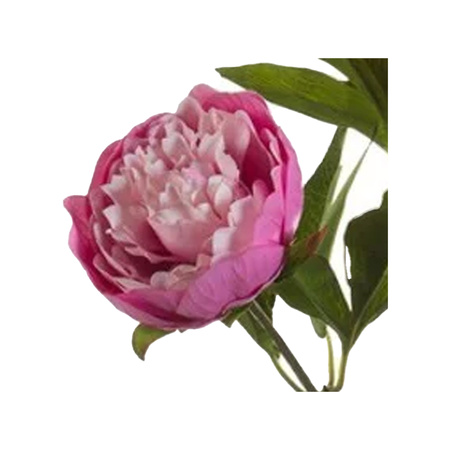 Emerald Kunstbloem pioenrozen tak - 3 bloemen - roze -  70 cm - decoratie