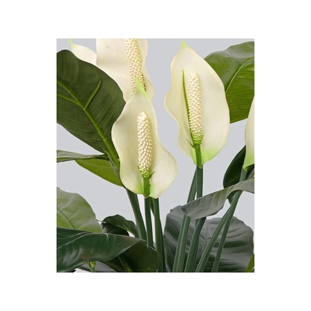 Kunstplant groen Spathiphyllum/Lepelplant 75 cm