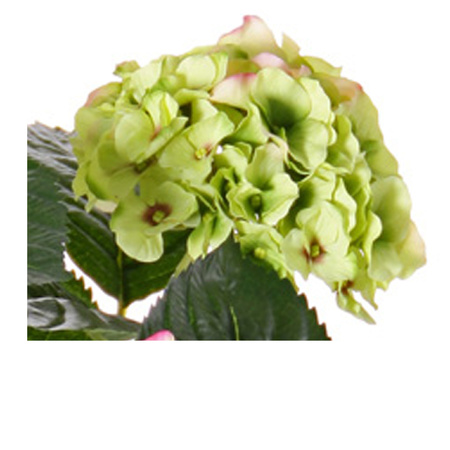 Kunst hortensia groen/roze 36 cm