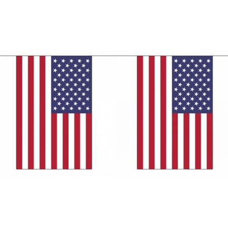Polyester vlaggenlijn USA