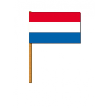 Nederland zwaaivlaggetjes
