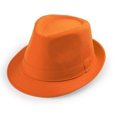 Carnaval verkleedkleding set - hoedje en party zonnebril - oranje - volwassenen