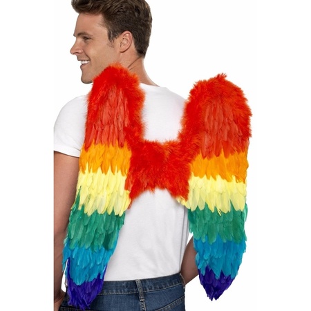 Rainbow feathers wings 68 cm