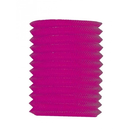 Treklampion roze 16 cm hoog