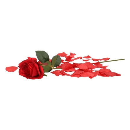 Valentijn rode kunstroos cadeau met rozenblaadjes