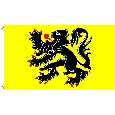 Vlaamse gemeenschap vlag 90 x 150 cm met zwarte leeuw