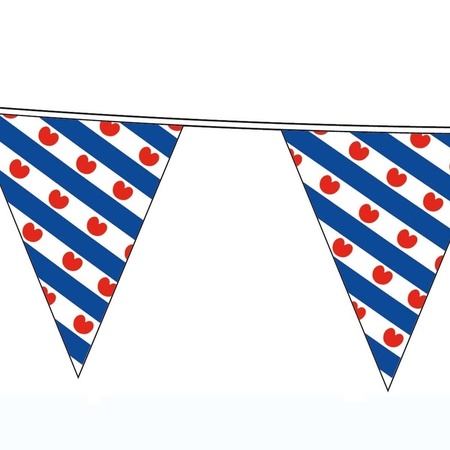 Friese vlag vlaggenlijn van 10 meter