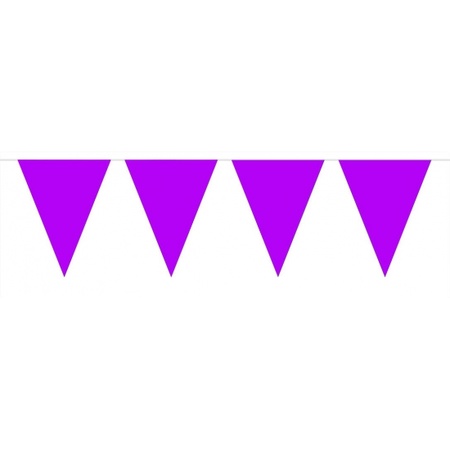 Purple bunting 10 meters