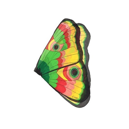 Speelgoed gekleurde vlinder verkleedset