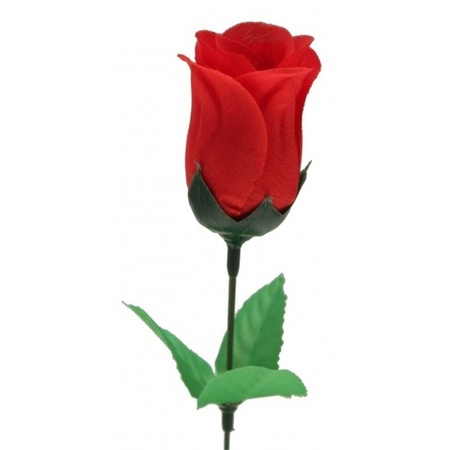 Super voordelige rode roos 45 cm