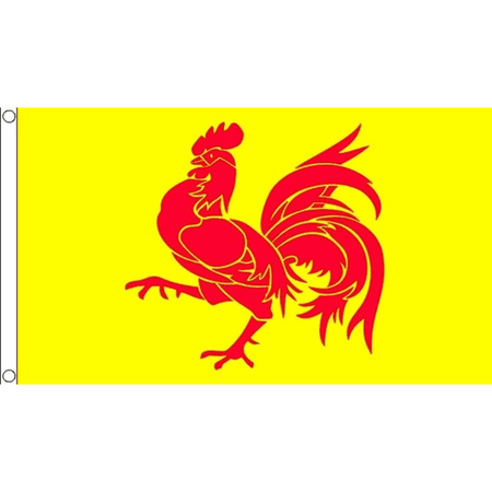 Wallonie logo vlaggen