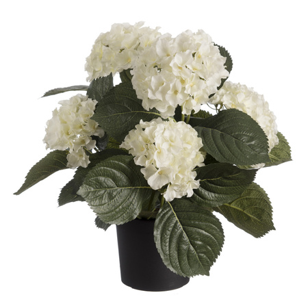 White hortensia Hydrangea artificial plant in black plastic pot 44 cm