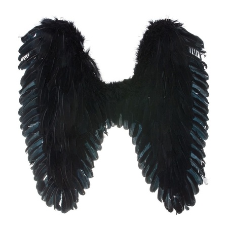 Black wings with feathers 65 x 60 cm